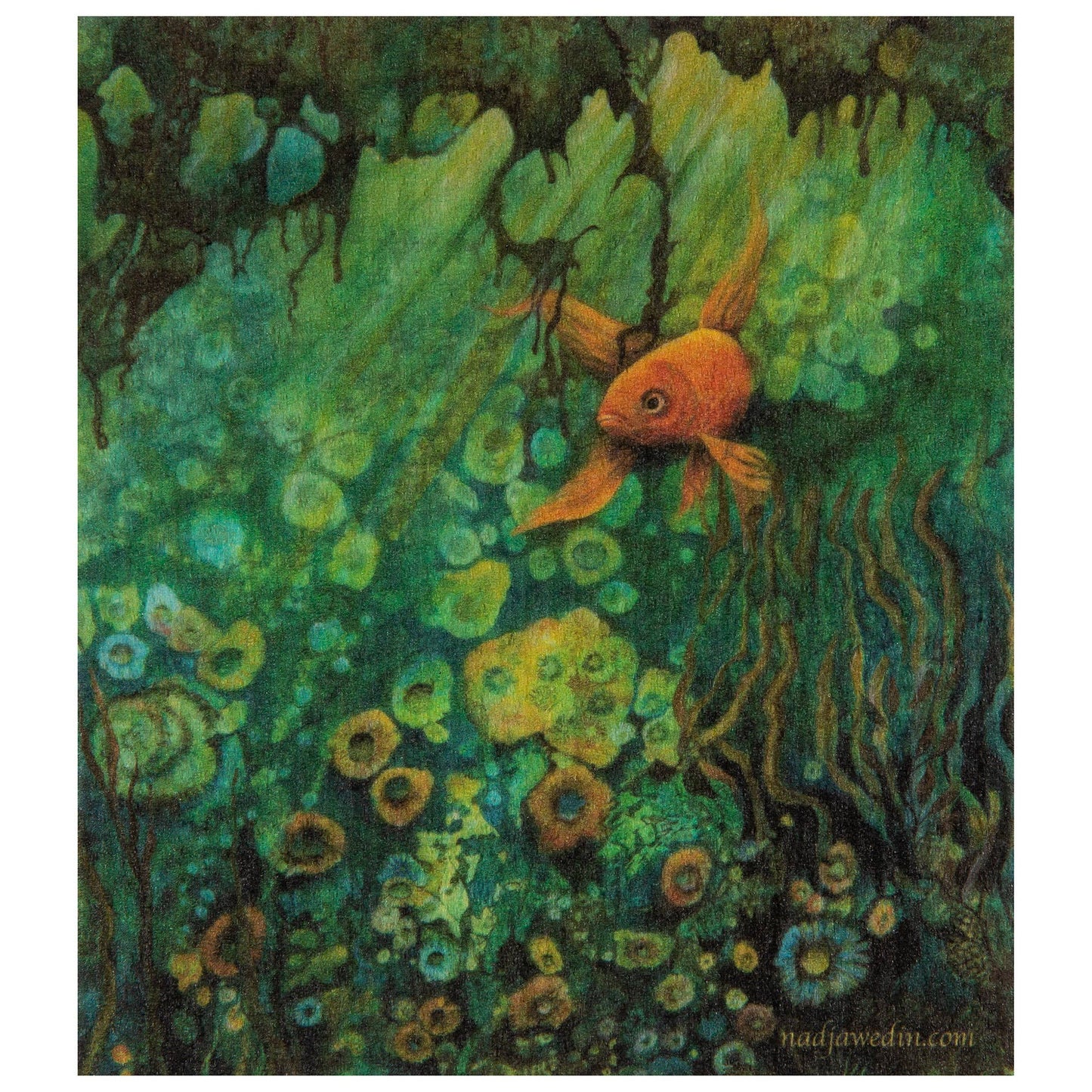Diskduk, 7x8" (17x20 cm) den gyllene